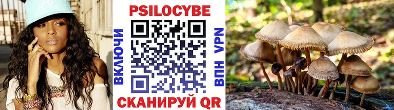 Псилоцибиновые грибы Cubensis  цена наркотик  Опочка 